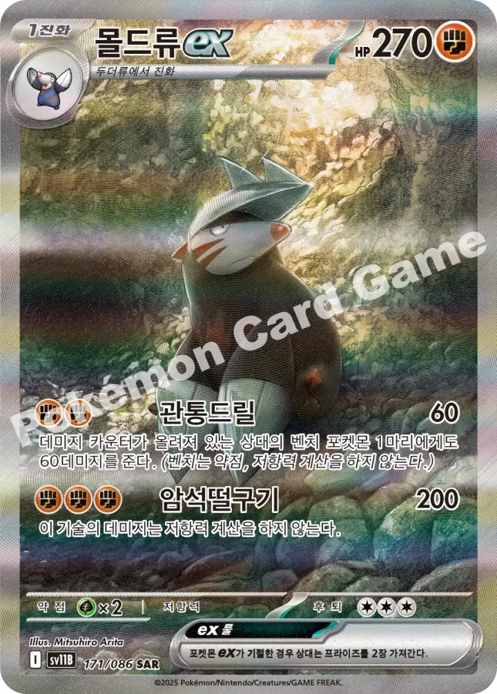몰드류 ex